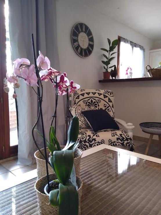 Gite Avec Vue Imprenable Sur La Cite Villa Carcassonne Ngoại thất bức ảnh