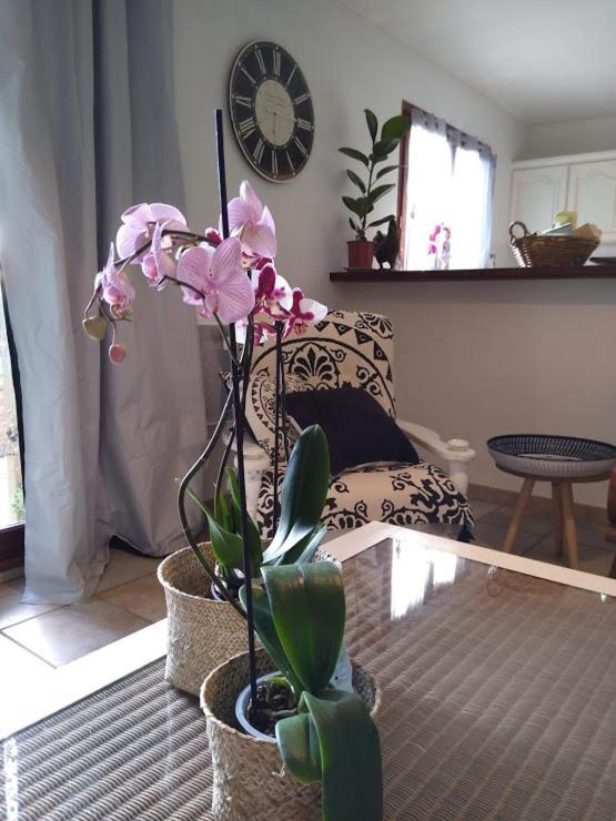 Gite Avec Vue Imprenable Sur La Cite Villa Carcassonne Ngoại thất bức ảnh