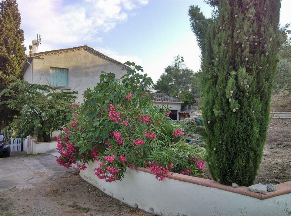 Gite Avec Vue Imprenable Sur La Cite Villa Carcassonne Ngoại thất bức ảnh